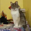 Отзыв от Эмилия Панфилова